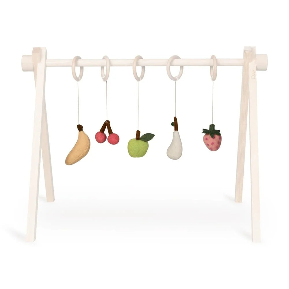 Leikföng á leikslá - Activity Toy Set (5 PCS) -Fruit