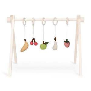 Leikföng á leikslá - Activity Toy Set (5 PCS) -Fruit
