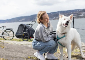Pluto L Hunda Hjólavagn