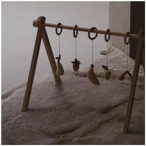 Leikföng á leikslá - Activity Toy Set (5 PCS) -Fruit